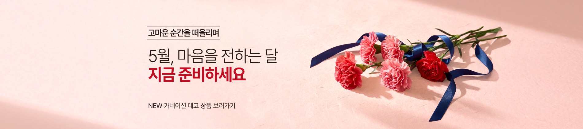 가정의달 기획전